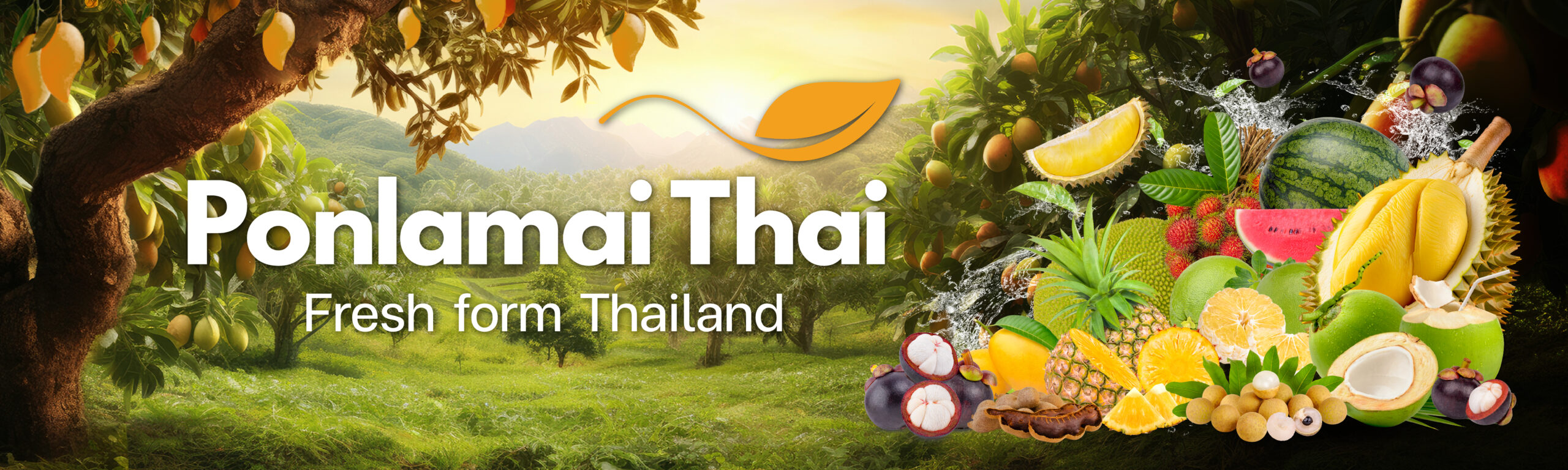Ponlamai-Thai feature image